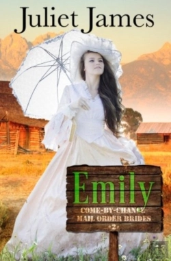 Bertrand.pt - Emily - Book 2 Come By Chance Mail Order