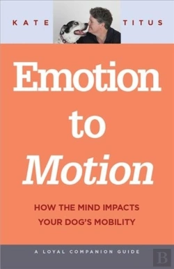 Bertrand.pt - Emotion To Motion