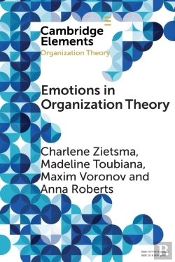 Bertrand.pt - Emotions In Organization Theory