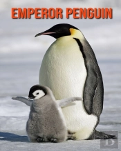Emperor Penguin