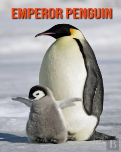 Bertrand.pt - Emperor Penguin