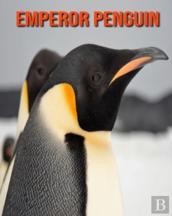 Bertrand.pt - Emperor Penguin