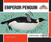 Emperor Penguin