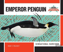Bertrand.pt - Emperor Penguin