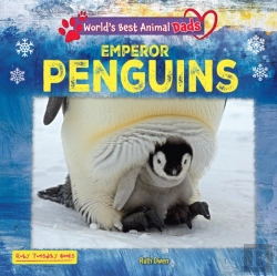 Bertrand.pt - Emperor Penguins