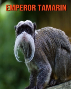 Bertrand.pt - Emperor Tamarin