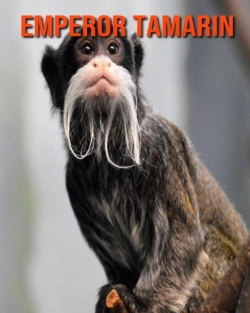 Bertrand.pt - Emperor Tamarin