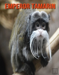 Bertrand.pt - Emperor Tamarin