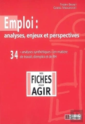 Emploi : Analyses, Enjeux Et Perspectives ; «Analyses Synthétiques» En Matière De Travail, D'Emploi Et De Rh