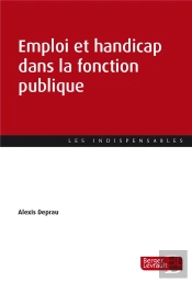Emploi Et Handicap Dans La Fonction Publique