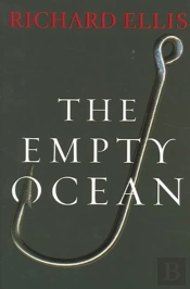 Empty Ocean