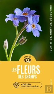 En Balade : Les Fleurs Des Champs