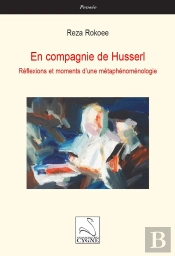 En Compagnie De Husserl : Réflexions Et Moments D'Une Métaphénoménologie