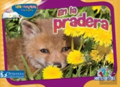 En La Pradera (Over In The Meadow)