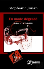 En Mode Degrade