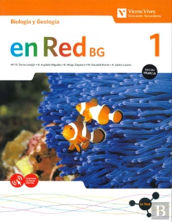 Bertrand.pt - En Red Bg 1 Murcia