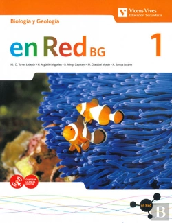 Bertrand.pt - En Red Bg 1