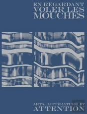 En Regardant Voler Les Mouches : Art, Litterature Et Attenti