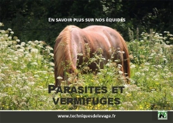 Bertrand.pt - En Savoir Plus Sur Nos Équidés : Parasites Et Vermifuges