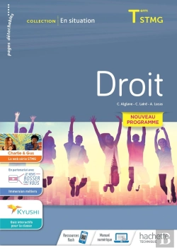 Bertrand.pt - En Situation : Droit ; Terminale Stmg ; Cahier De L'Élève (Édition 2020)