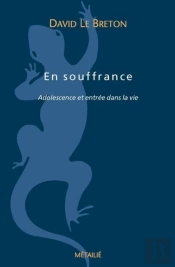 En Souffrance : Adolescence Et Entrée Dans L'Âge Adulte
