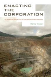 Enacting The Corporation