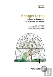 Encager Le Ciel : Histoire, Anthropologie Et Esthétique Des Volières
