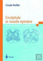 Encéphale Et Moelle Épinière