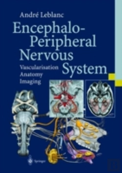 Bertrand.pt - Encephalo-Peripheral Nervous System