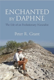 Enchanted By Daphne
