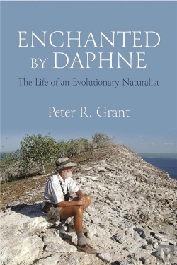 Bertrand.pt - Enchanted By Daphne