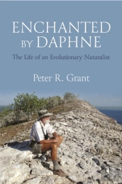 Enchanted By Daphne