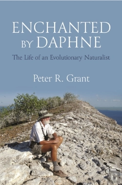Bertrand.pt - Enchanted By Daphne
