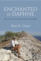 Enchanted By Daphne