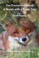 Enchanted Wood - Brush Of A Fox'S Tale