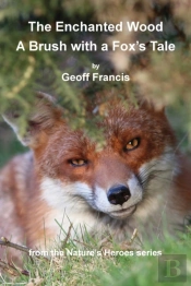 Enchanted Wood - Brush Of A Fox'S Tale