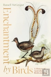 Enchantment By Birds