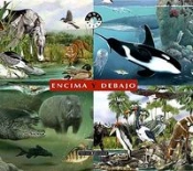 Encima Y Debajo