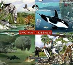 Bertrand.pt - Encima Y Debajo