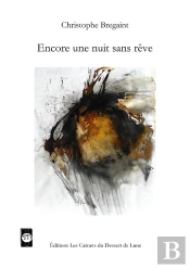 Encore Une Nuit Sans Rêve
