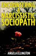 Encountering A Narcissistic Sociopath