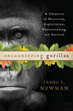 Bertrand.pt - Encountering Gorillas