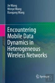 Encountering Mobile Data Dynamics In Heterogeneous Wireless Networks