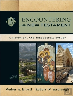 Bertrand.pt - Encountering The New Testament (Encountering Biblical Studies)