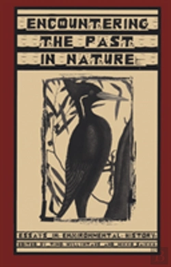 Bertrand.pt - Encountering The Past In Nature