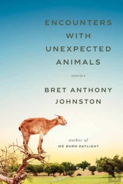 Bertrand.pt - Encounters With Unexpected Animals
