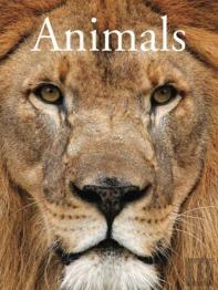 Encyclopedia Of Animals