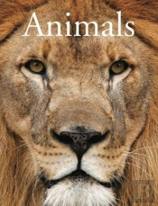 Encyclopedia Of Animals