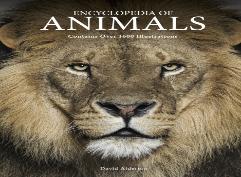 Encyclopedia Of Animals