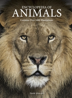 Bertrand.pt - Encyclopedia Of Animals